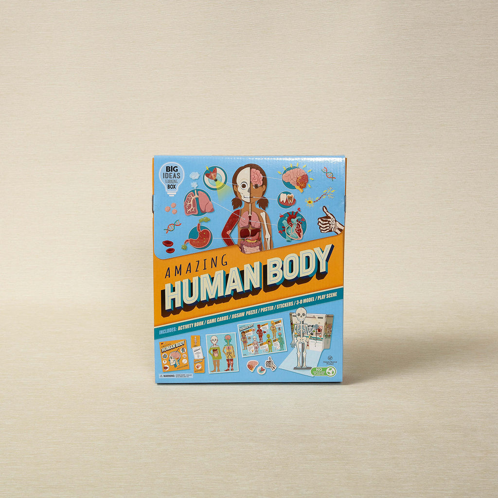 Amazing Human Body Book & 3D Model