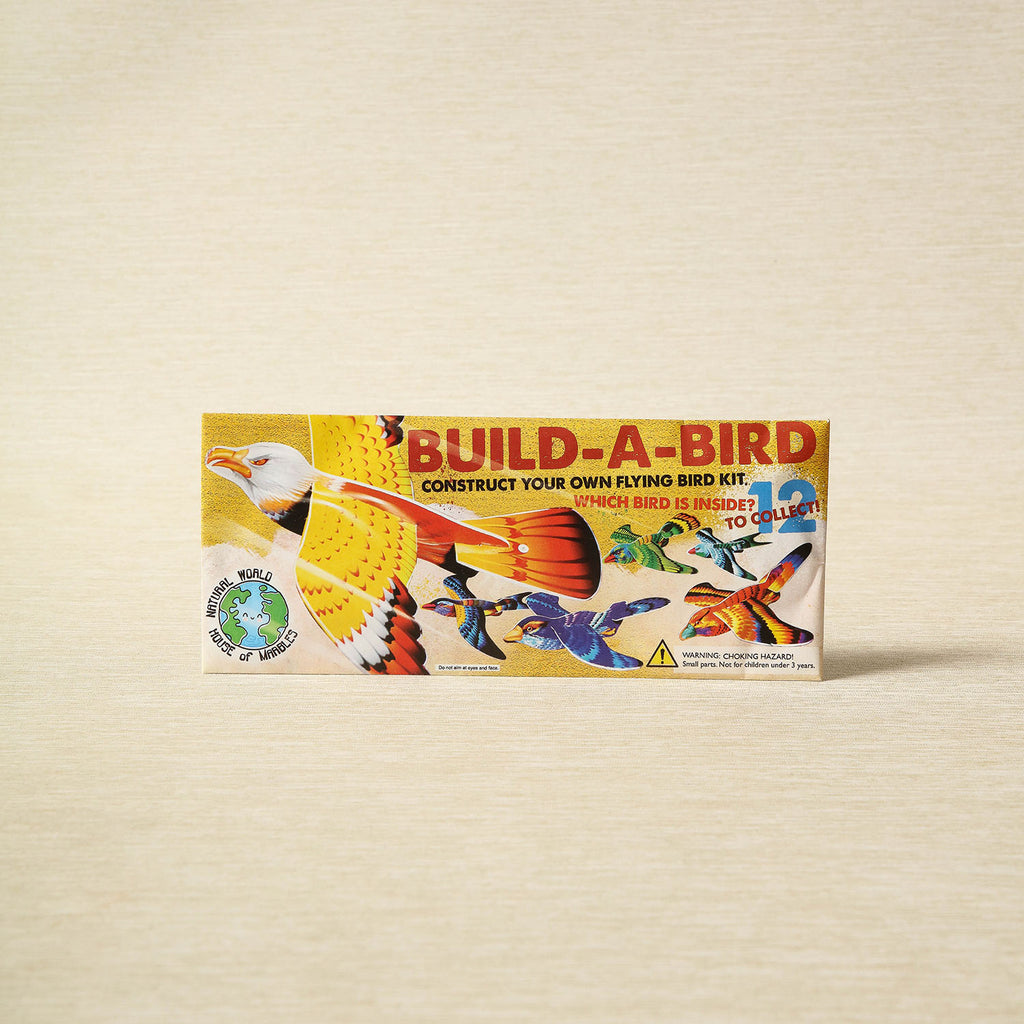 Build-a-Bird Kit