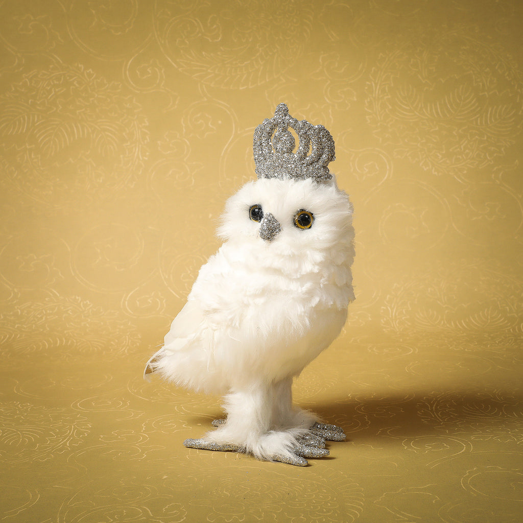 Owl with crown