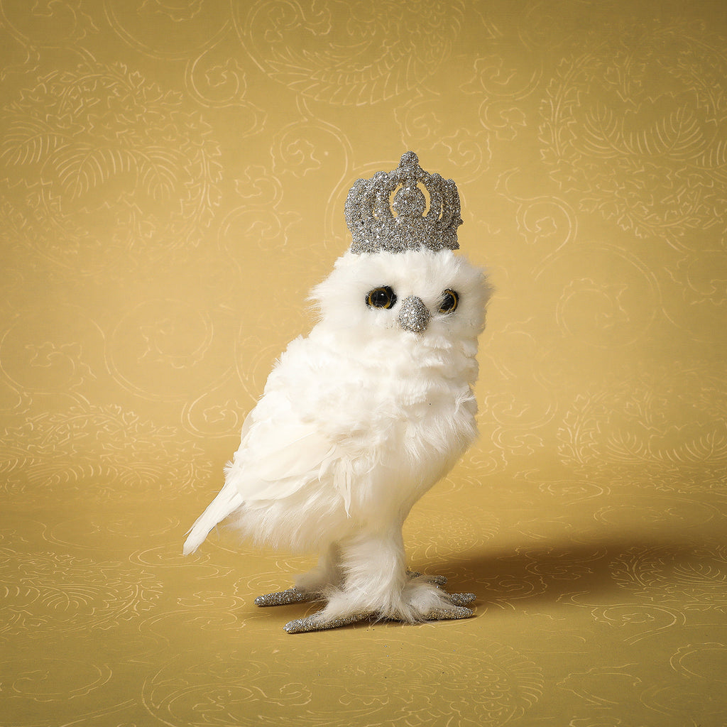 Owl with crown