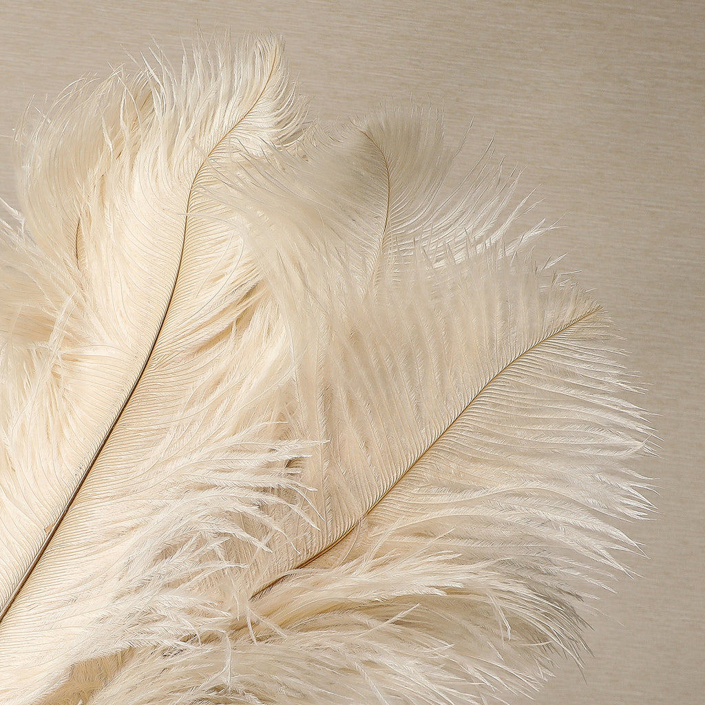 Column Duster Ostrich Feather Duster | Copper Beech