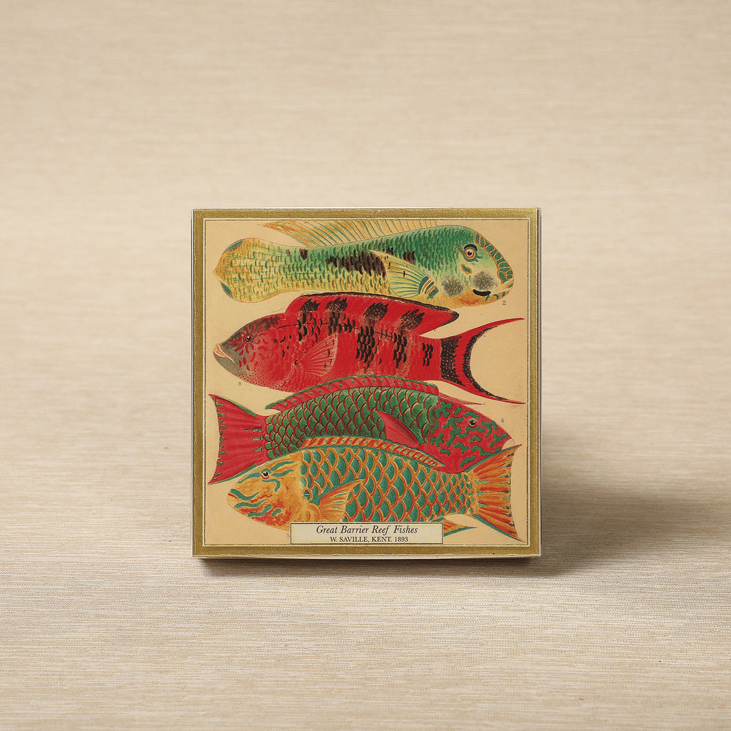 Square Boxed Safety Matches