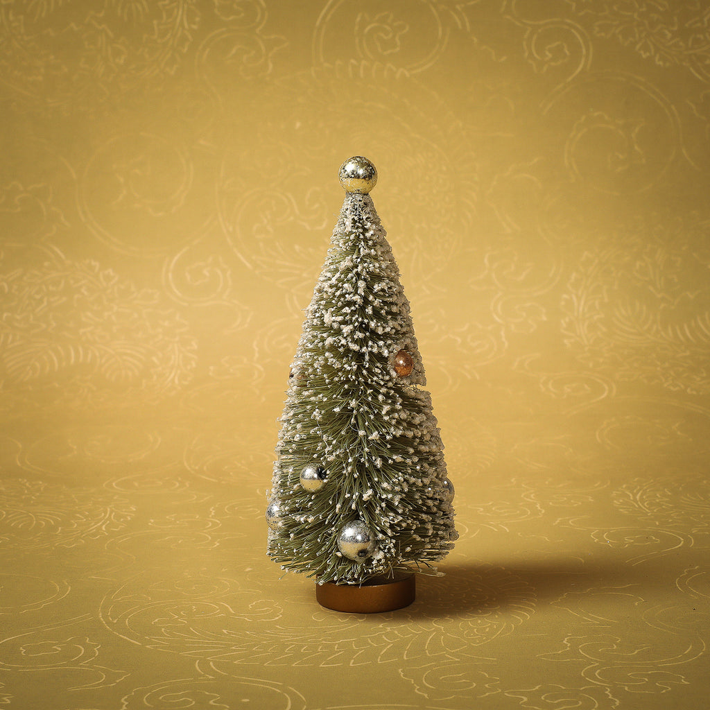 Olive green bottle brush  tree