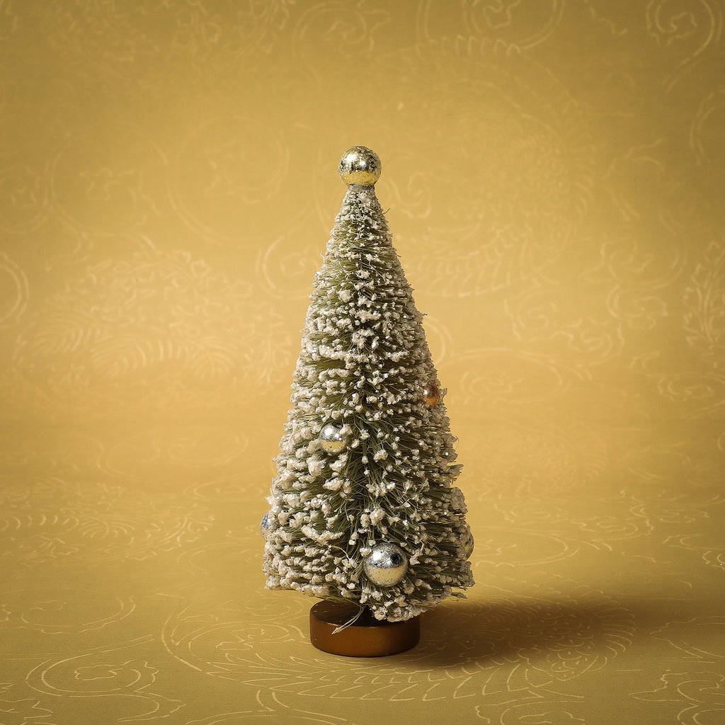 Olive green bottle brush  tree