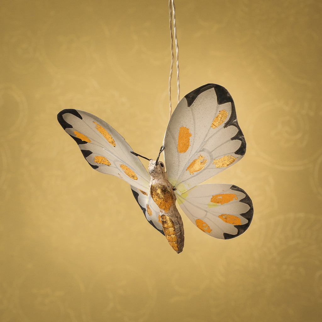 Moth with gold markings ornament