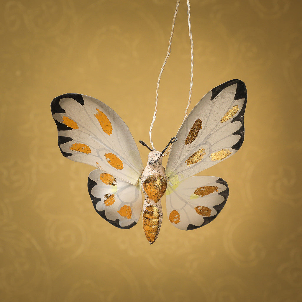 Moth with gold markings ornament