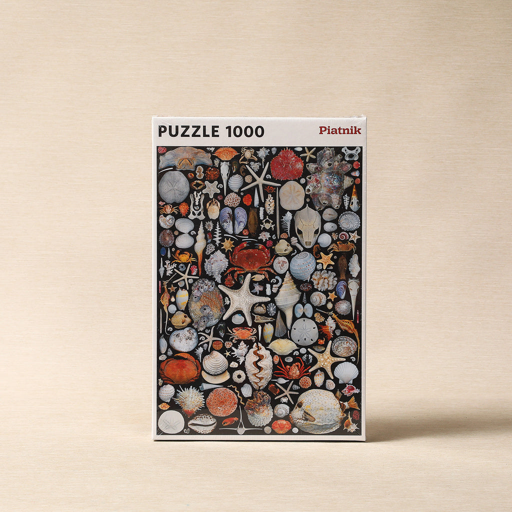 Flotsam Puzzle