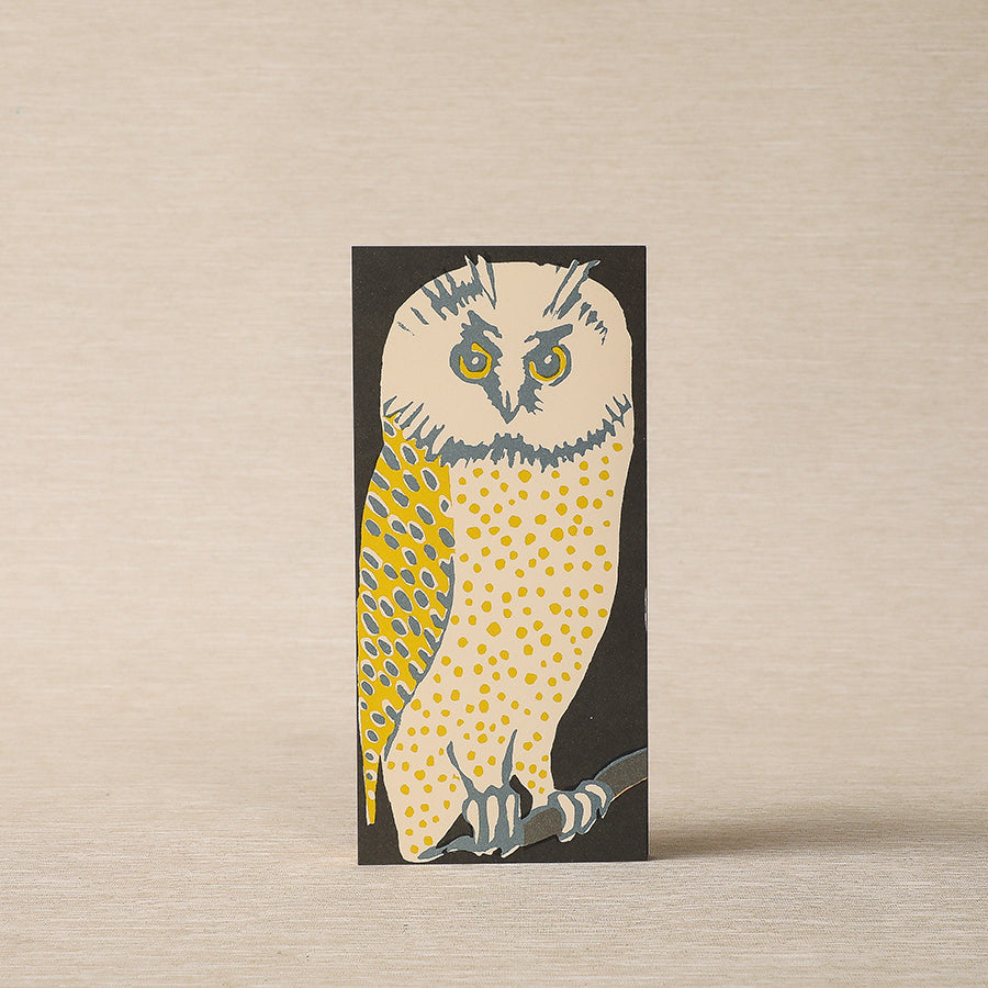 Wise Old Owls Card