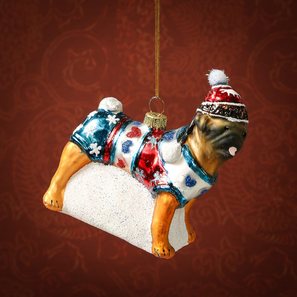 Assorted Bundled Up Dog Ornament