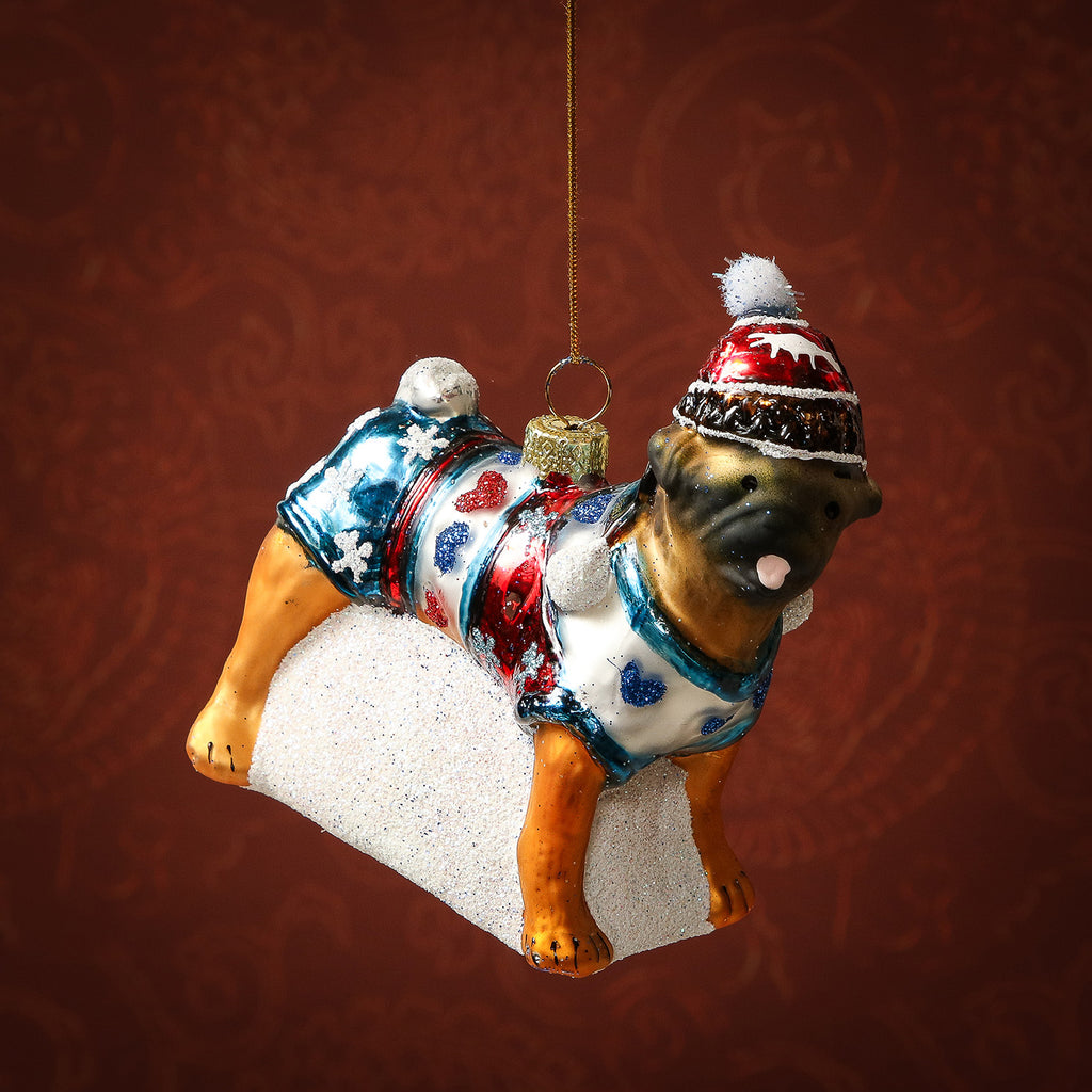 Assorted Bundled Up Dog Ornament