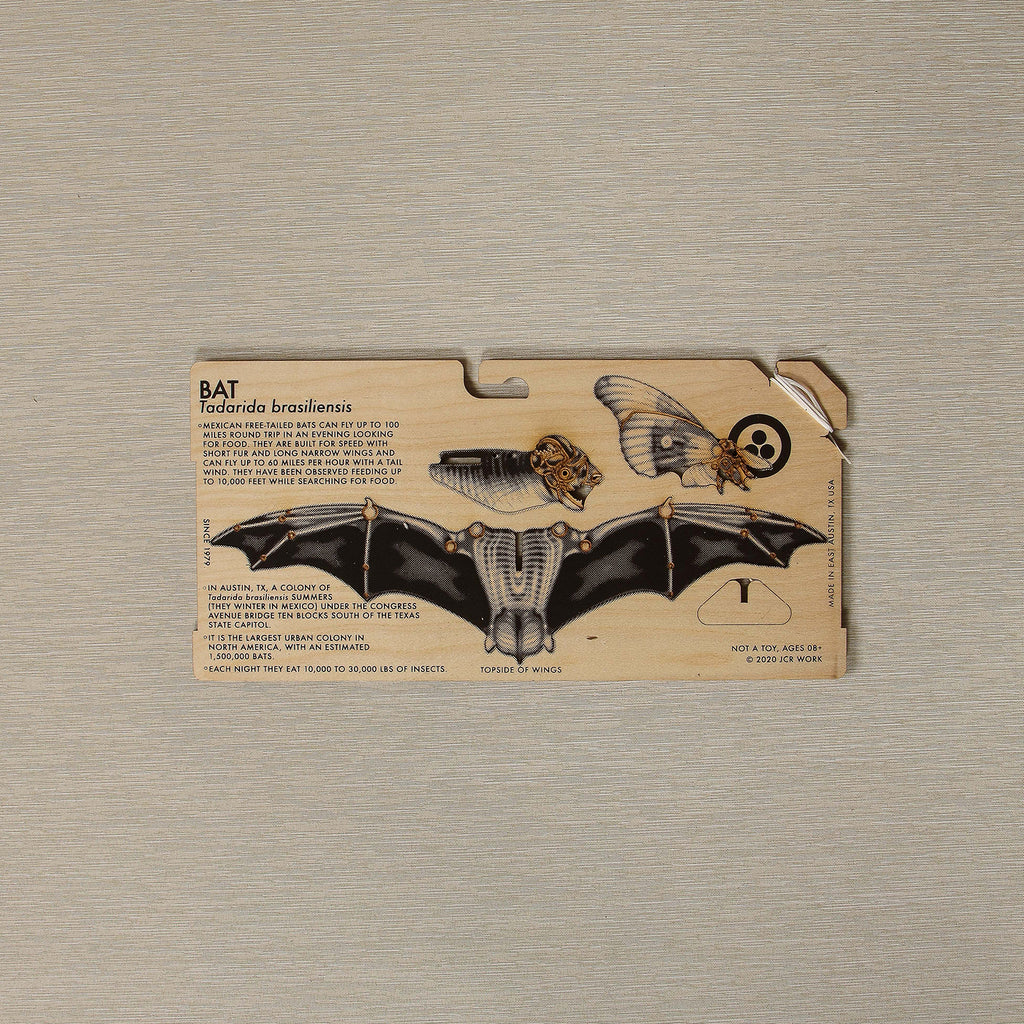 Free Tailed Bat 3D Model