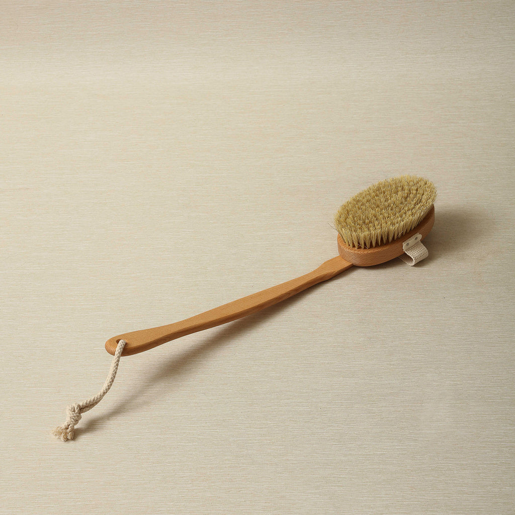 Curved bath brush