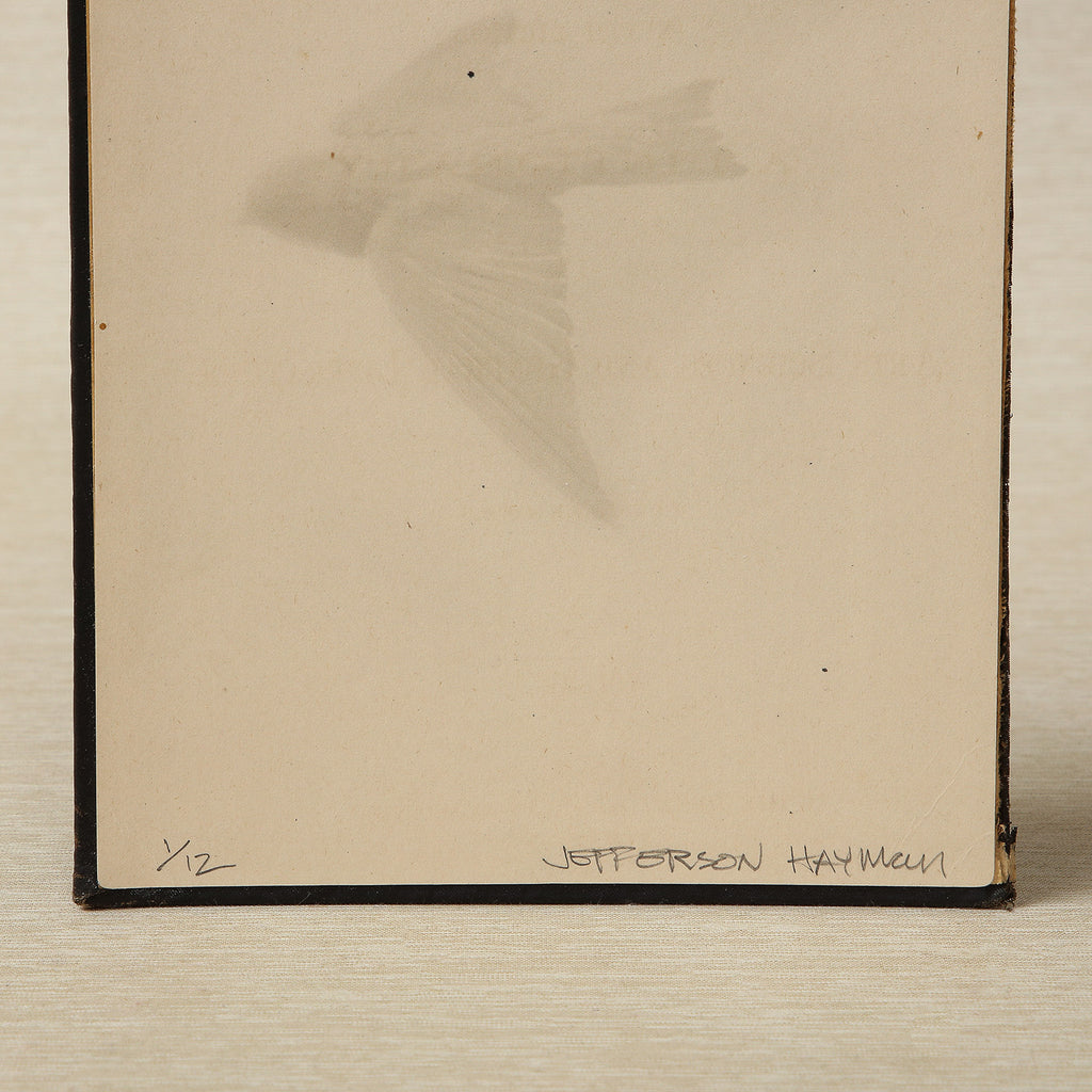 Two Sparrows Antique Book Cover